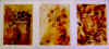 naturemorte2.jpg (317980 octets)